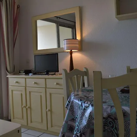 Apartment T2 Bord De Avec Piscine, Parking, Saint-cyprien - Fr-1-225d-13 Saint-Cyprien (Pyrenees-Orientales)